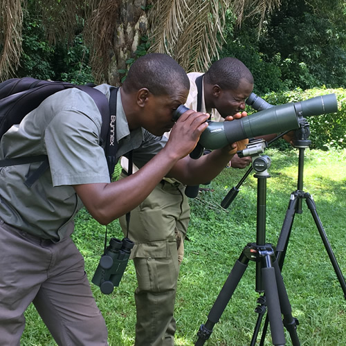 Uganda Birding Tours - Best time to go birding in Uganda & Rwanda - https://terrain-safaris.com