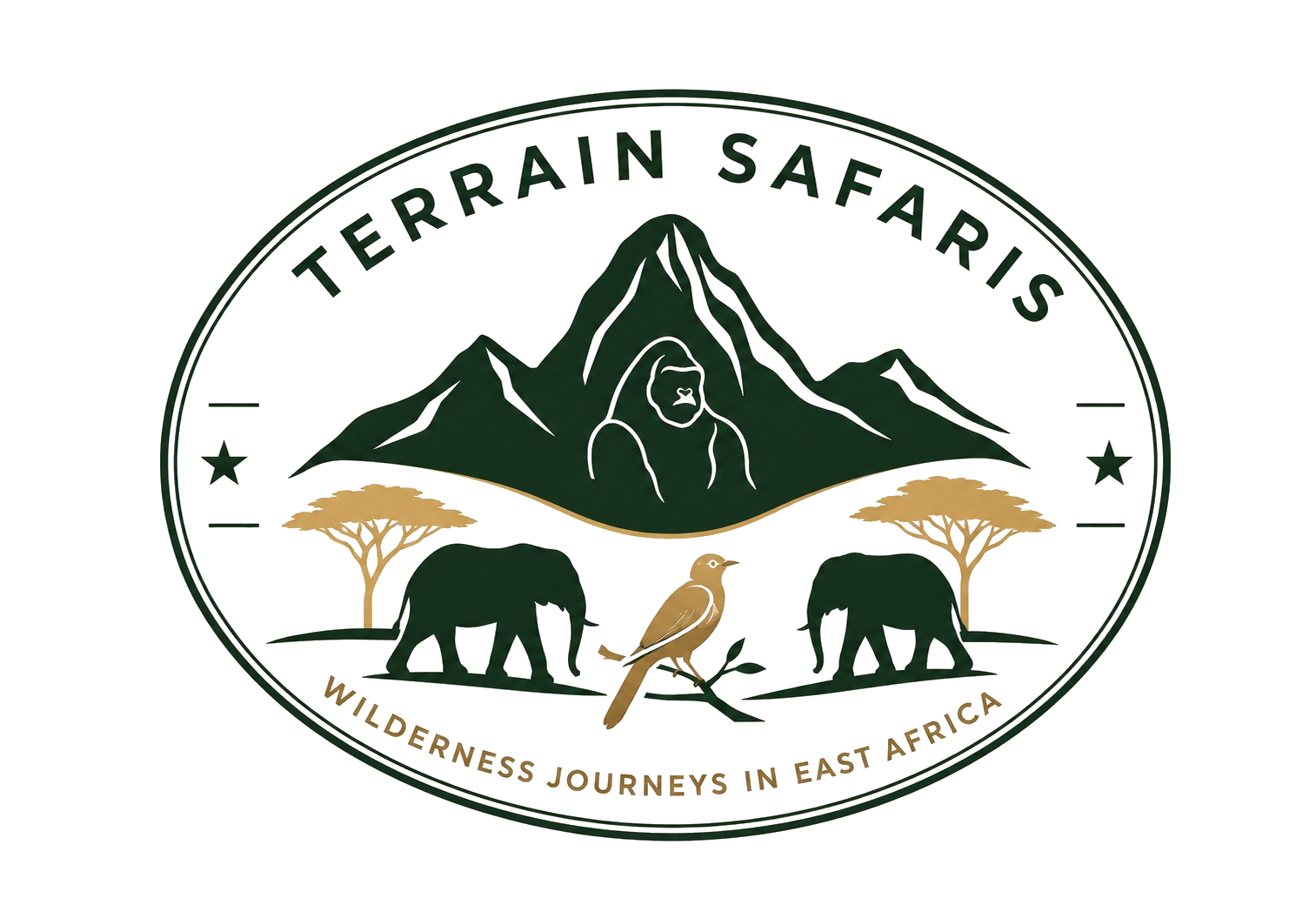 Terrain Safaris