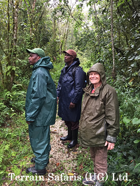 Rwanda Birding Tours - Birding Nyungwe Forest National Park - https://terrain-safaris.com