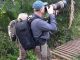 Uganda Birding Tours - Bird Watching In Kanio-Pabidi, Budongo Forest - https://terrain-safaris.com