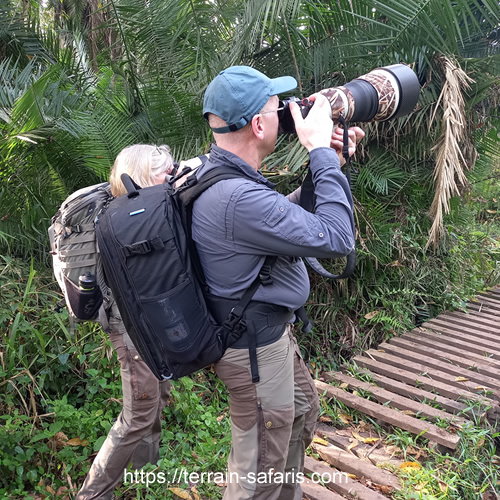 Uganda Birding Tours - Bird Watching In Kanio-Pabidi, Budongo Forest - https://terrain-safaris.com